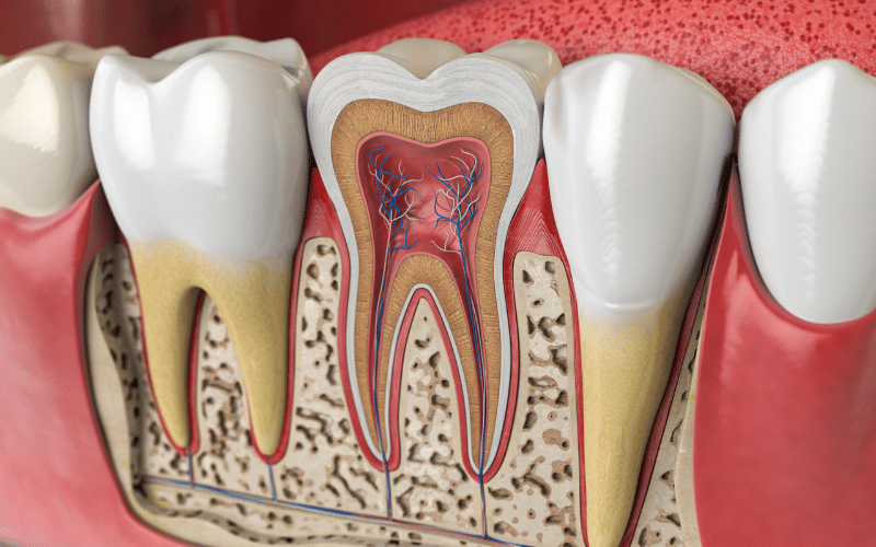 How long should you rest after root canal treatment
